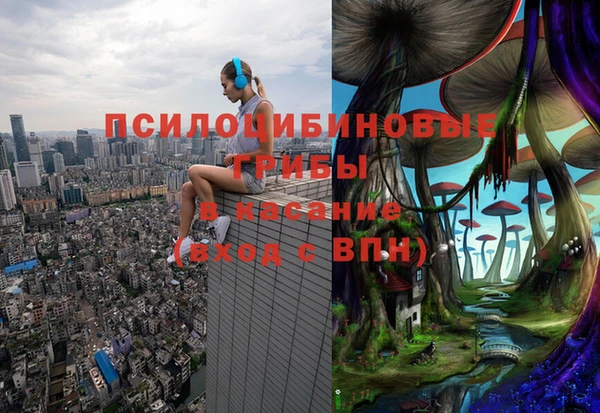 ГАЛЛЮЦИНОГЕННЫЕ ГРИБЫ Баксан