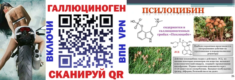 Галлюциногенные грибы Psilocybine cubensis  Верхняя Пышма 